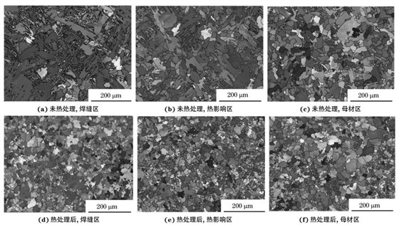 圖２ 熱處理前后焊接接頭焊縫區(qū)、熱影響區(qū)和母材區(qū)的取向成像圖