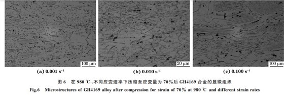 圖６ 在９８０ ℃、不同應(yīng)變速率下壓縮至應(yīng)變量為７０％