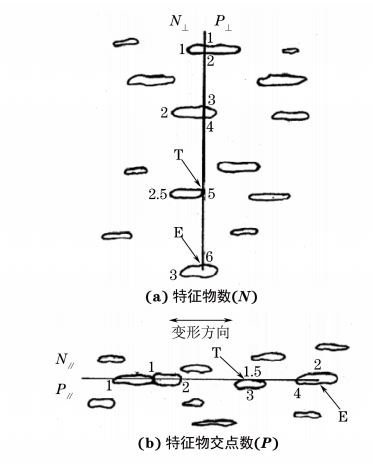 圖２ 顯微組織的特征物數(shù)(N)和特征物交點(diǎn)數(shù)(P)計算示意圖