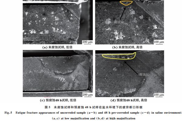 圖5 未腐蝕試樣和預腐蝕48h試樣在鹽水環(huán)境下的疲勞斷口形貌 圖5 未腐蝕試樣和預腐蝕48h試樣在鹽水環(huán)境下的疲勞斷口形貌